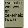 Evaluatie Wet werk en zekerheid (Wwz) door Siemen van der Werff