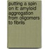 Putting a Spin on it: Amyloid Aggregation from Oligomers to Fibrils