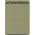 Schaamteloos