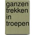 Ganzen trekken in troepen