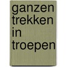 Ganzen trekken in troepen door Henk de Velde