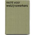 Recht voor welzijnswerkers