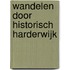 Wandelen door historisch Harderwijk
