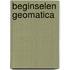Beginselen geomatica