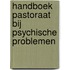 Handboek pastoraat bij psychische problemen