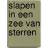 Slapen in een zee van sterren