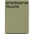 Amerikaanse filosofie