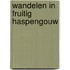 Wandelen in fruitig Haspengouw