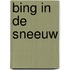 Bing in de sneeuw