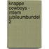 Knappe cowboys - Intiem Jubileumbundel 2