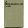 25 Steegjeswandeling Gouda door Hans Van de Water