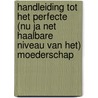 Handleiding tot het perfecte (nu ja net haalbare niveau van het) moederschap door Sofie Vanherpe