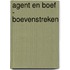 Agent en Boef - Boevenstreken