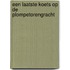 Een laatste koets op de Plompetorengracht