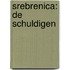 Srebrenica: De Schuldigen