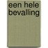 Een hele bevalling