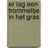 Er lag een trommeltje in het gras