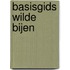 Basisgids wilde bijen