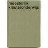 Meesterlijk Kleuteronderwijs by Sander Gordijn
