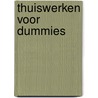 Thuiswerken voor Dummies by Nelly Magré