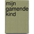 Mijn gamende kind