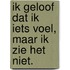 Ik geloof dat ik iets voel, maar ik zie het niet.