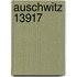 Auschwitz 13917