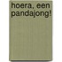 Hoera, een pandajong!