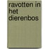 Ravotten in het Dierenbos
