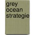 Grey Ocean Strategie