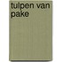 Tulpen van pake
