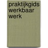 Praktijkgids werkbaar werk by Joan De Winne