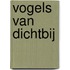 Vogels van dichtbij