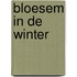 Bloesem in de winter