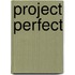 Project perfect