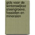 Gids voor de Winterswijkse steengroeve. Fossielen en mineralen