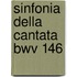 Sinfonia della cantata BWV 146