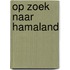 Op zoek naar Hamaland