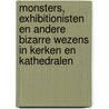 Monsters, exhibitionisten en andere bizarre wezens in kerken en kathedralen door Cois Geysen