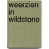 Weerzien in Wildstone