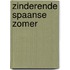 Zinderende Spaanse zomer