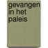 Gevangen in het paleis