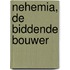 Nehemia, de biddende bouwer