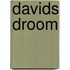 Davids droom