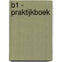 B1 - Praktijkboek