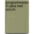 Programmeren in Java met Scrum