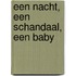 Een nacht, een schandaal, een baby