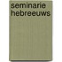 Seminarie Hebreeuws