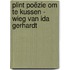 Plint poëzie om te kussen - Wieg van Ida Gerhardt