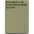 Diversiteit in de huisartsenpraktijk bij CVRM